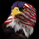 Image for article titled How Politicians Can Sew Up The "Gamer Vote"